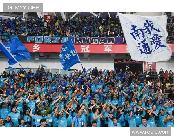 追逐绿茵梦想与荣耀足球星光之路全景解析与球迷情感共鸣